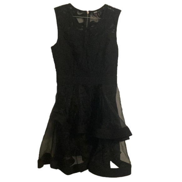 Ina Dresses & Skirts - INA Sleeveless Black Ruffle Tulle Dress